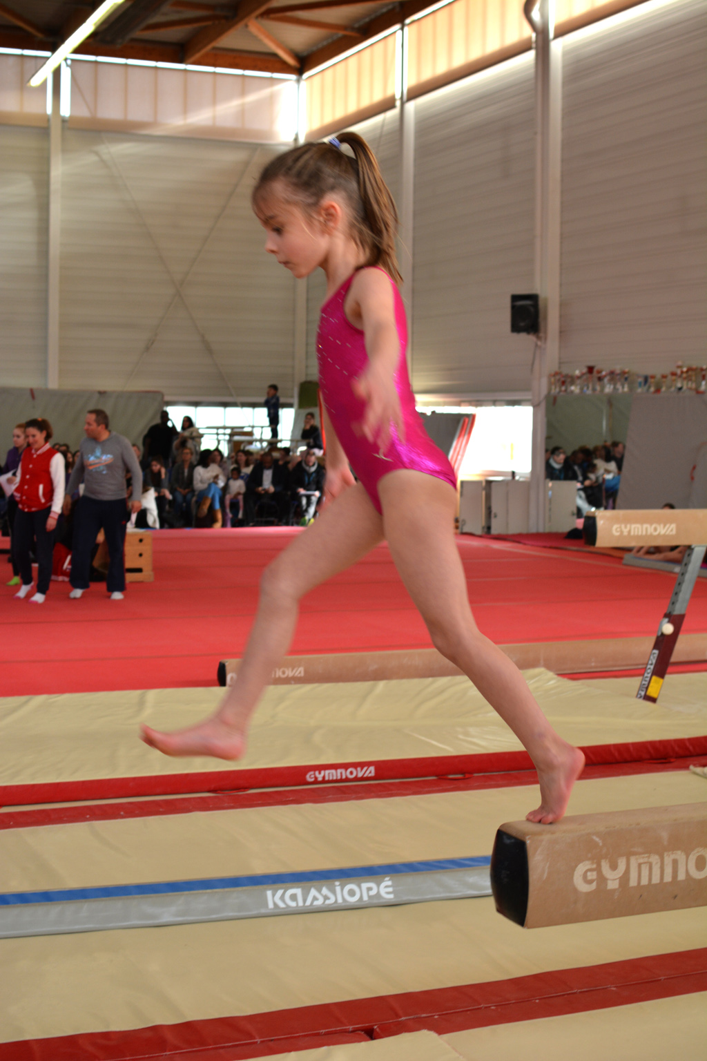 compétition 2017